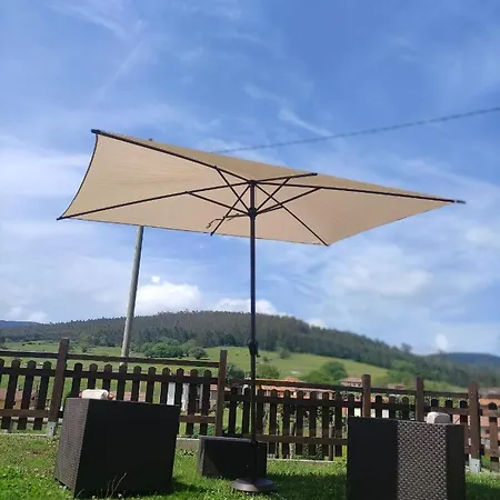 Mini Piconeiro Ii Pravia