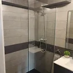 Mini Piconeiro Ii *