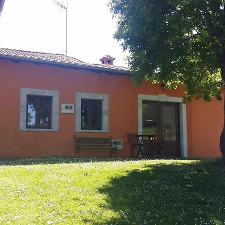 Mini Piconeiro Ii * Pravia