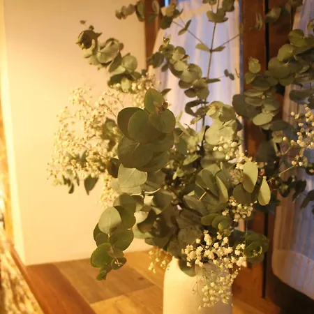 Mini Piconeiro Ii * Pravia