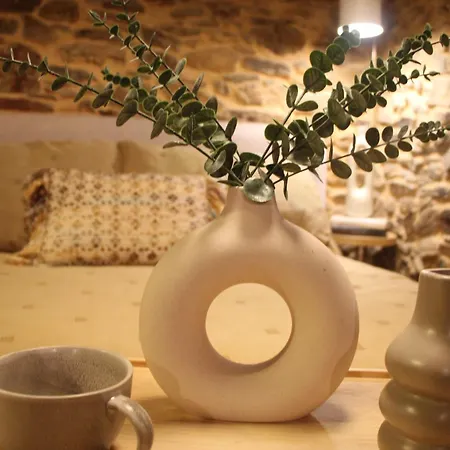 Mini Piconeiro Ii * Pravia