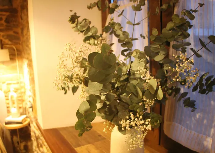 Mini Piconeiro Ii * 프라비아