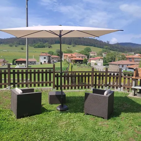 Mini Piconeiro Ii