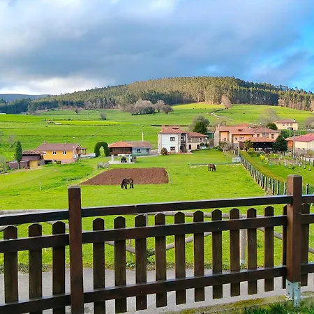 Mini Piconeiro Ii